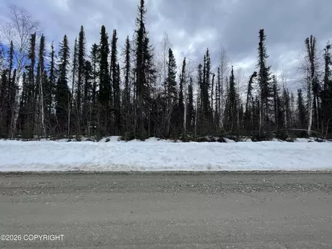 49553 S Cutthroat Dr, Willow, AK 99688