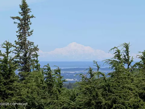 View/Area - 8201 Robert Dr, Anchorage, AK 99516 photo 1 of 1