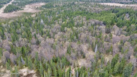 13500 Jackinsky St, Ninilchik, AK 99639
