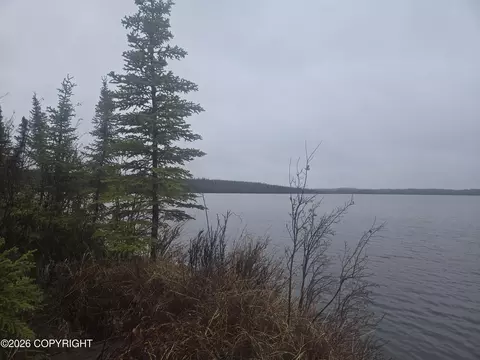 Mile .05 Tolsona Lake Road, Glennallen, AK 99588