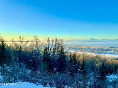 View/Area - 19170 Fish Hatchery Rd, Eagle River, AK 99577 photo 3 of 4