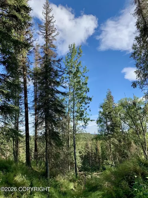 245 Nevada St, Kenai, AK 99611