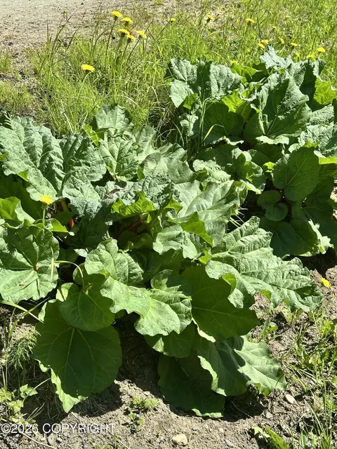 Other - 49990 S Resolute Dr, Willow, AK 99688 photo 34 of 41