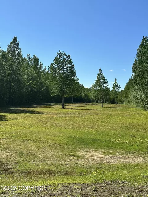Other - 49990 S Resolute Dr, Willow, AK 99688 photo 38 of 41