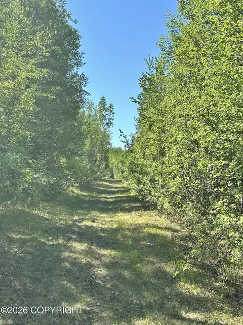 Other - 49990 S Resolute Dr, Willow, AK 99688 photo 6 of 41