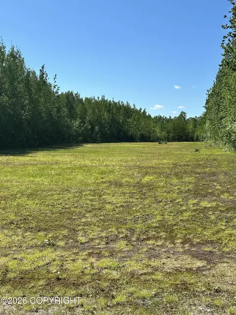 Other - 49990 S Resolute Dr, Willow, AK 99688 photo 2 of 41