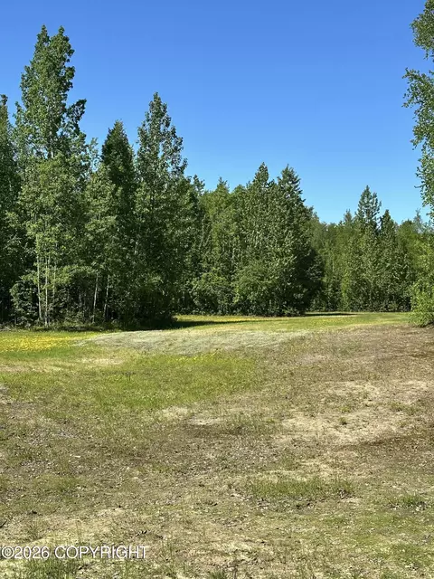 Other - 49990 S Resolute Dr, Willow, AK 99688 photo 41 of 41