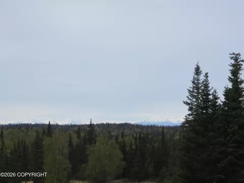53192 Blue Ribbon Ave, Kasilof, AK 99610
