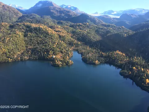 lot10 Loon Lake Bear Cv, Homer, AK 99603