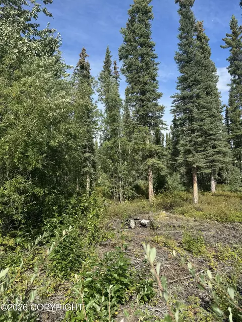 L2 4th Street, Glennallen, AK 99588