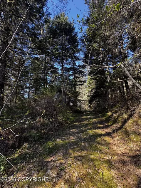 15485 Grouse Creek Rd, Seward, AK 99664