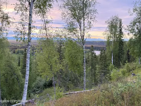 41158 Carnation Ct, Soldotna, AK 99669