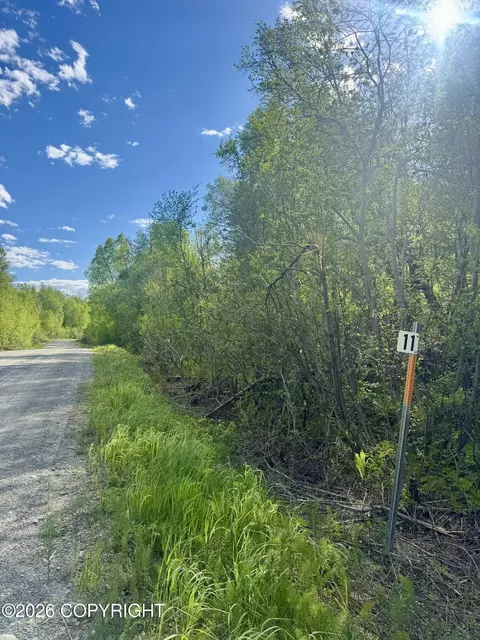 36248 S Oilwell Rd, Trapper Creek, AK 99683