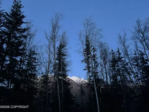 Other - 22774 Needels Loop, Chugiak, AK 99567 photo 12 of 14