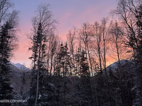 Other - 22774 Needels Loop, Chugiak, AK 99567 photo 13 of 14