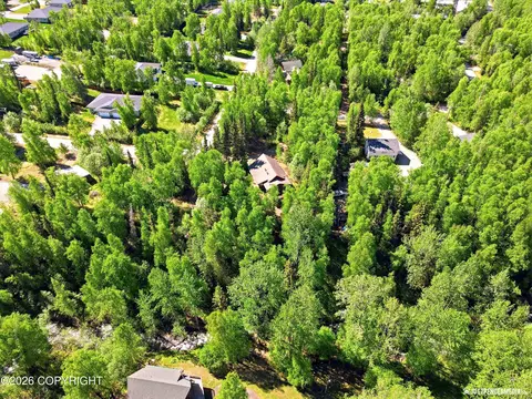 View/Area - 22774 Needels Loop, Chugiak, AK 99567 photo 1 of 1