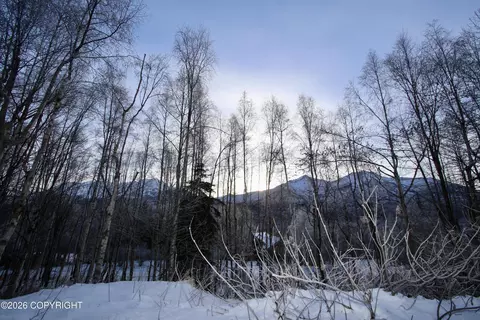 Other - 22939 Eagle Glacier Loop, Eagle River, AK 99577 photo 9 of 10