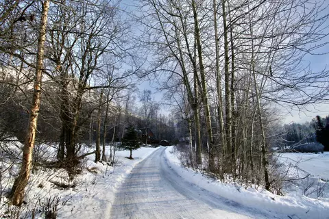 Other - 22939 Eagle Glacier Loop, Eagle River, AK 99577 photo 10 of 10
