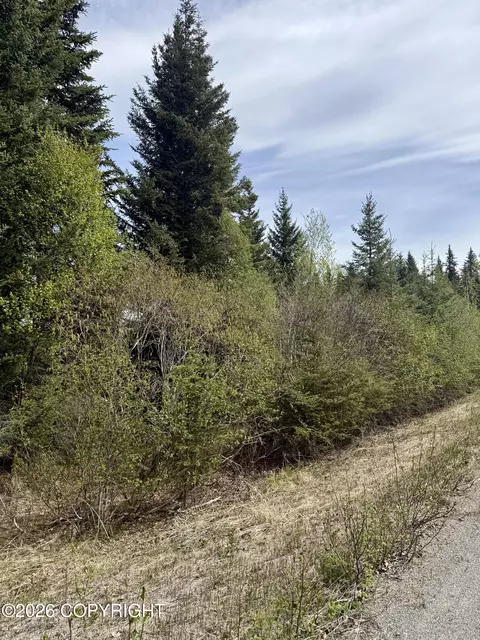 37334 Rogue Cir, Anchor Point, AK 99556