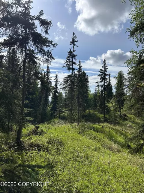 34815 Schwalm Rd, Soldotna, AK 99669