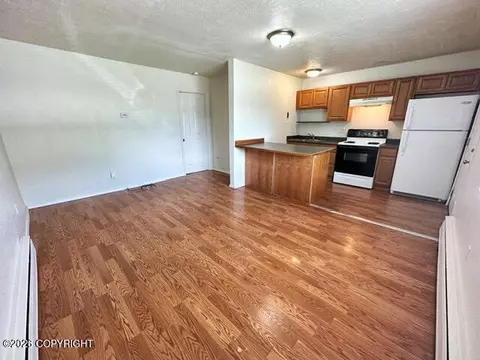 Living - 1227 E 11th Ave, Anchorage, AK 99501 photo 1 of 19