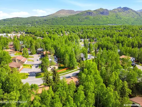 View/Area - 18640 Eaglewood Loop, Eagle River, AK 99577 photo 2 of 4