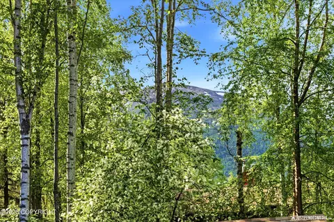 Other - 18640 Eaglewood Loop, Eagle River, AK 99577 photo 6 of 6
