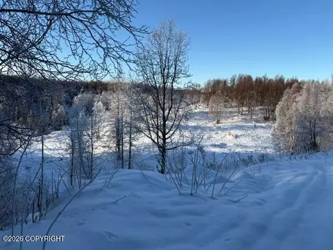 000 Rounds Rd To Charlies Way, Nikiskinorth Kenai, AK 99611