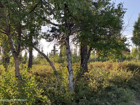 L2 B7 Keyes Point, Remote, AK 99653 photo 3