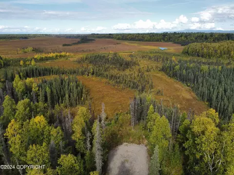 49365 S Noahs Cir, Willow, AK 99688