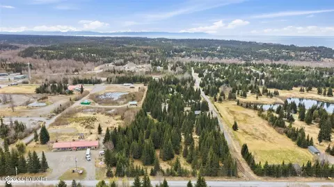72595 Milo Fritz Ave, Anchor Point, AK 99556
