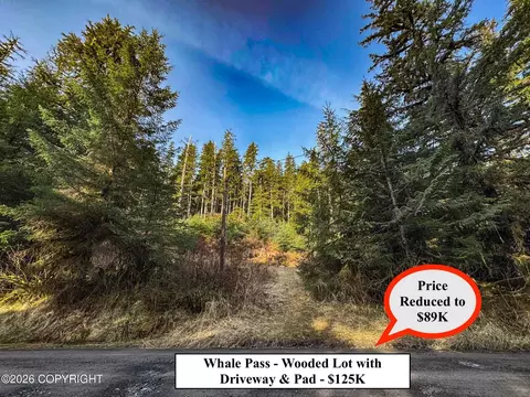 lot7 Usfs 30 Rd, Whale Pass, AK 99927
