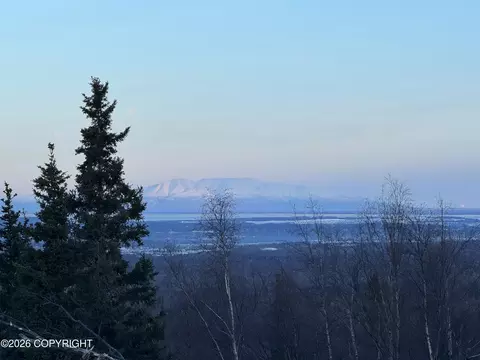31 Unknown St, Anchorage, AK 99516 photo 27