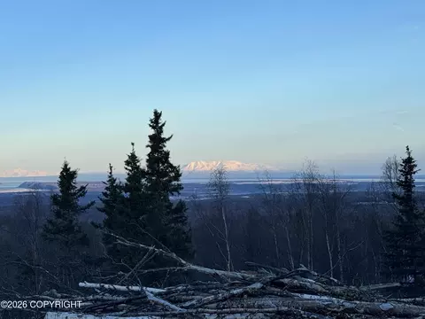 31 Unknown St, Anchorage, AK 99516 photo 28
