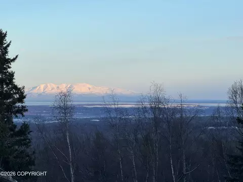31 Unknown St, Anchorage, AK 99516 photo 25