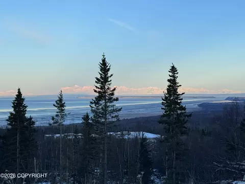 31 Unknown St, Anchorage, AK 99516 photo 26