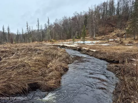 000 Asls 91-040, Trapper Creek, AK 99683