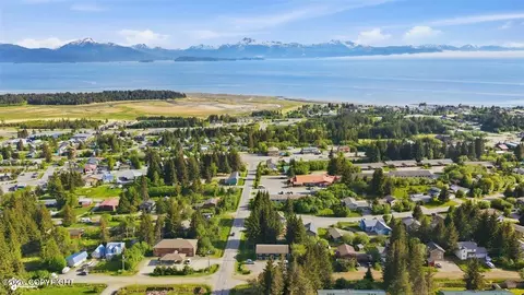 View/Area - 335 E Fairview Ave, Homer, AK 99603 photo 4 of 16