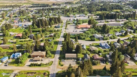 View/Area - 335 E Fairview Ave, Homer, AK 99603 photo 7 of 16