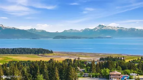View/Area - 335 E Fairview Ave, Homer, AK 99603 photo 16 of 16