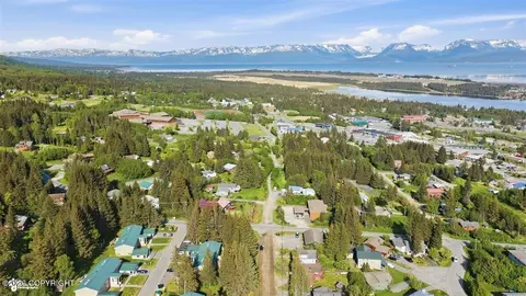 View/Area - 335 E Fairview Ave, Homer, AK 99603 photo 12 of 16