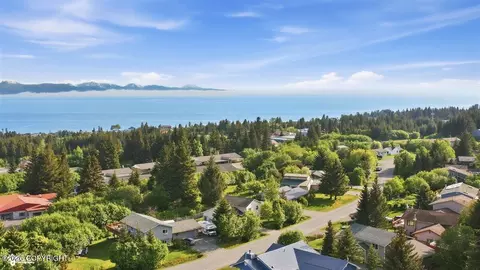 View/Area - 335 E Fairview Ave, Homer, AK 99603 photo 15 of 16