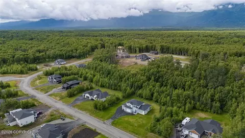 View/Area - 8913 E Windy Woods Loop, Palmer, AK 99645 photo 6 of 7