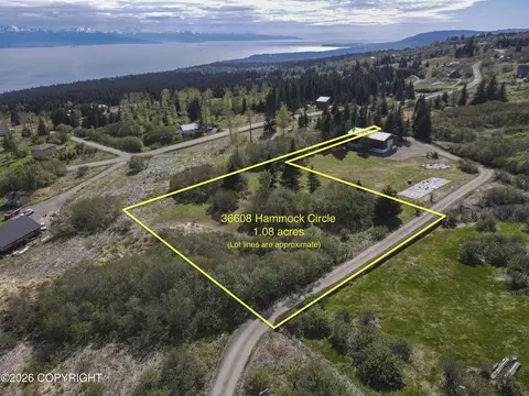 36610 Hammock Cir, Homer, AK 99603