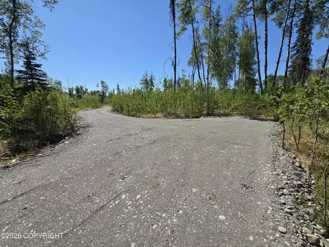17749 E Yeldarb Ave, Talkeetna, AK 99676