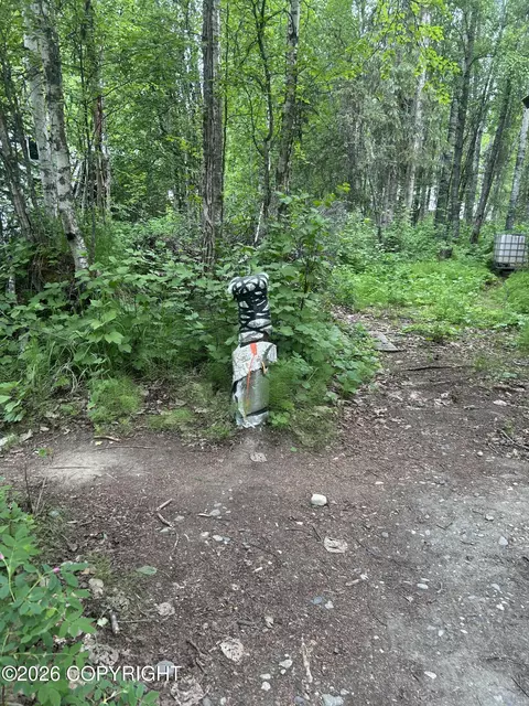 Other - 14149 E Front St, Talkeetna, AK 99676 photo 6 of 6