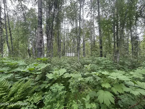 Exterior - 14149 E Front St, Talkeetna, AK 99676 photo 5 of 5