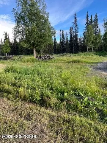 53245 Coyote Ln, Kenai, AK 99611