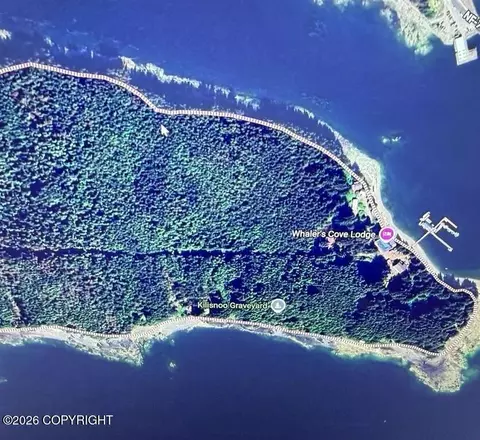 lot N6 Killisnoo Is, Angoon, AK 99820