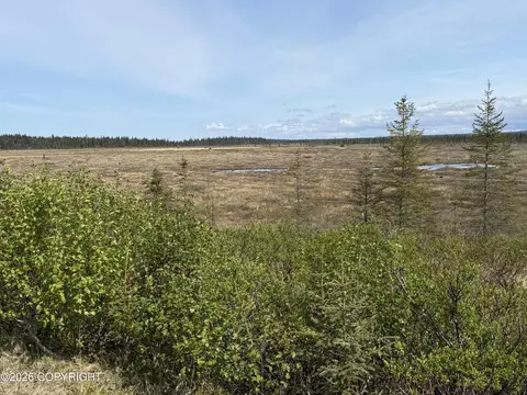 View/Area - 26873 Cloyds Rd, Anchor Point, AK 99556 photo 4 of 5